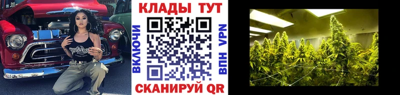 Меф мяу мяу Геленджик