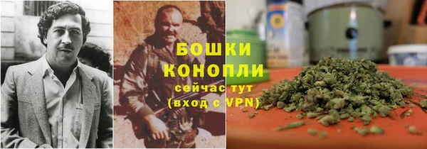 PSILOCYBIN Елизово
