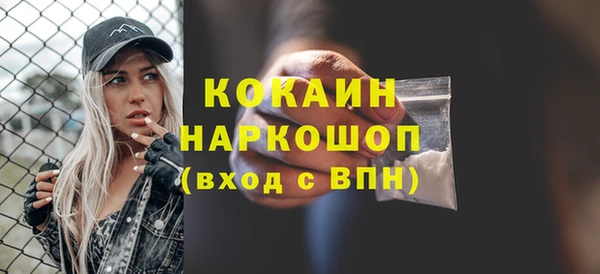 соль ск Дмитров