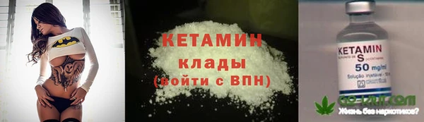 соль ск Дмитровск