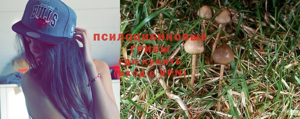 кокс Ельня