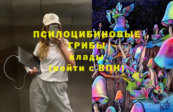 соль ск Дмитров