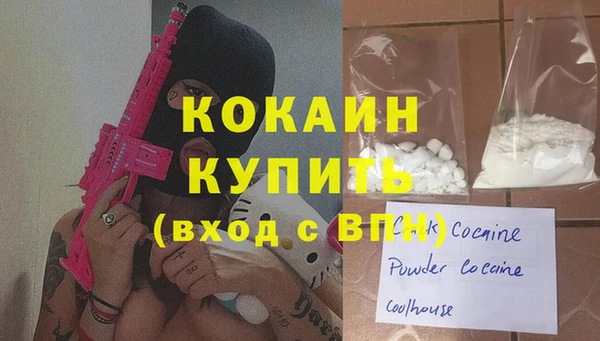 дмт Дмитриев