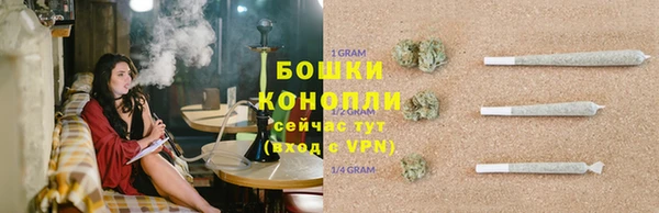 дмт Дмитриев