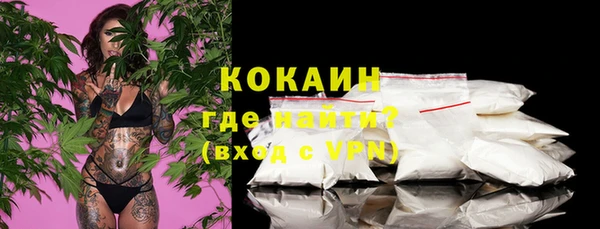 соль ск Дмитровск