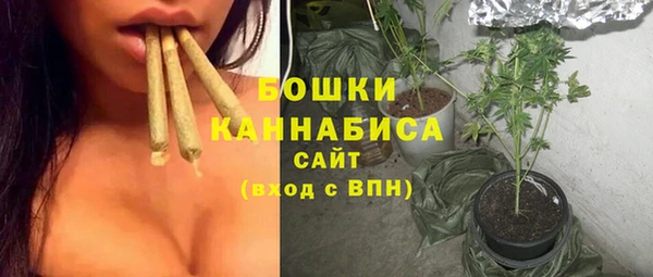 соль ск Дмитров