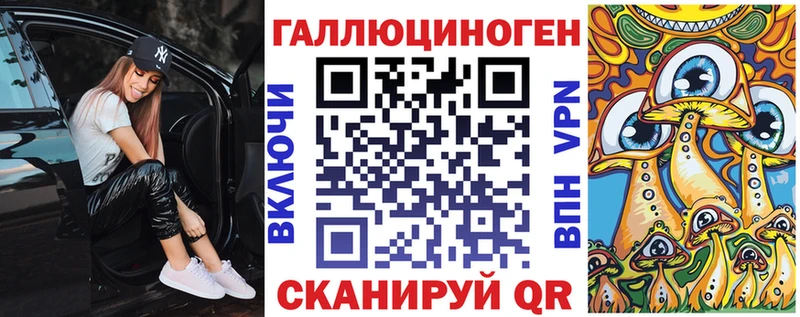 Галлюциногенные грибы Psilocybe  Геленджик 
